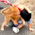 2歳の男の子が『子犬…