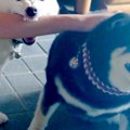 遊びに来た友人を歓…