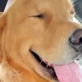 おじいちゃんの家へ…