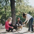 『フレンドリーな犬…
