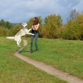 犬が急に『興奮』す…