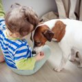 犬と赤ちゃんがいる…