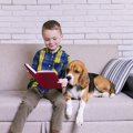 犬と一緒にいること…