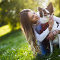 犬を大事に育ててい…