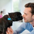犬が飼い主を気にし…