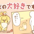 ただの犬好きです。…