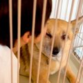 保護犬のことが大好…