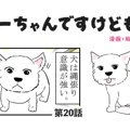 ちーちゃんですけど…