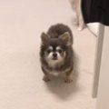 寂しかった？他の子…