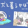 犬と暮らせば【第256…