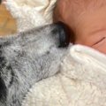 出産後、赤ちゃんと…