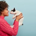 犬が『ひたすら飼い…