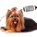 犬の毛を自宅でカッ…
