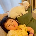 赤ちゃんがおねんね…
