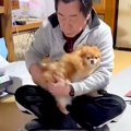 朝起きた犬が1番に向…