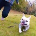 羨ましい体力…！絶壁…