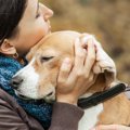 愛犬を不幸にしてし…