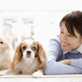 犬の愛情表現を、あ…