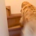 「あかんあかんあか…