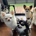 集合写真を撮ろうと…