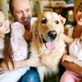 犬は『家族に順位付…