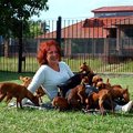 多頭飼いの場合、名…