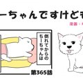  ちーちゃんですけど…