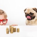 犬との生活でお金を…