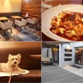 「G Cafe」は犬も入…