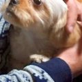 お父さんが亡くなる…