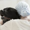 脳腫瘍の治療法開発…
