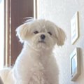 助けてください…階段…
