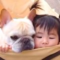 赤ちゃんと犬が『親…