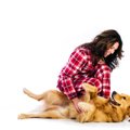 犬が飼い主に体をこ…