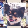 【Laylaの個別リーデ…