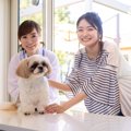 犬が異物を食べてし…