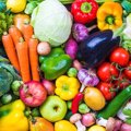 犬に野菜は必要？栄…
