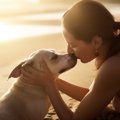 犬の幼少期の過酷な…