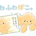 ふわふわぽこ。【第1話】「はじめまして、ぽこです！」