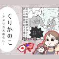くりかのこ　アメリ…