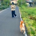 犬に『いないはずの…