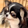 人が信じられず、ご…