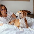 愛犬のためなら頑張…
