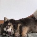 「はぁ気持ちいい…♡…