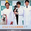 愛犬のうんちで健康…