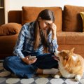 犬の飼い主に贈って…