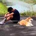 犬を説教した翌日、…