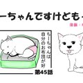 ちーちゃんですけど…