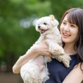 犬が見ている世界っ…