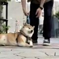 やだやだ動きたくな…